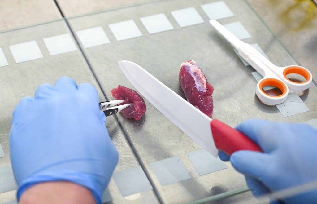 Carne coltivata, Mattarella promulga legge ma chiede di conformarsi a indicazioni Ue Carne coltivata, Mattarella promulga legge ma chiede di conformarsi a indicazioni Ue