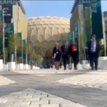 Cop28, i primi giorni della conferenza sul clima in timelaps