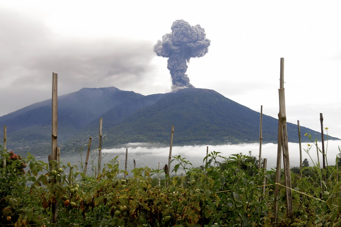 Indonesia, erutta vulcano Marapi: morti oltre 20 escursionisti