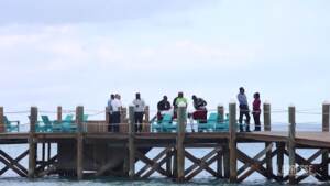 Bahamas, turista Usa uccisa da uno squalo