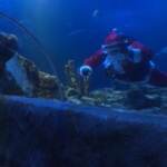 Babbo Natale in bombola e maschera porta doni a pesci acquario in Germania