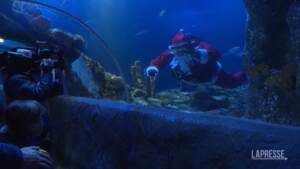 Babbo Natale in bombola e maschera porta doni a pesci acquario in Germania