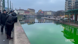 Milano, le acque del Naviglio Grande tinte di verde: la protesta di Extinction Rebellion