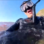 Australia, 20enne di Parma posta video shock dell’attacco di uno squalo