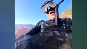 Australia, 20enne di Parma posta video shock dell’attacco di uno squalo