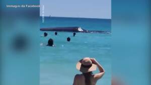 Australia, Perth: balena quasi a riva e i bagnanti si avvicinano
