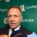 FdI, Lollobrigida: “Abascal a Atreju? Iniziativa fatta di confronto”