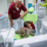 Torino, alla Dental School delle Molinette dog therapy per bimbi con disabilità