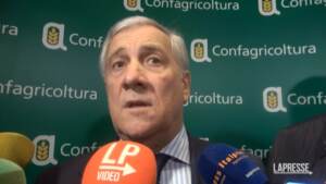 Mes, Tajani: “Non è questione divisiva per maggioranza”