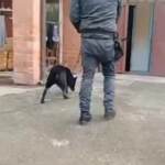 Bologna, sfruttamento lavoro: arrestati 4 imprenditori