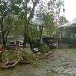 Australia, ciclone Jasper sferza il Queensland: diversi gli alberi sradicati