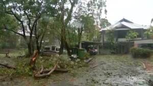 Australia, ciclone Jasper sferza il Queensland: diversi gli alberi sradicati