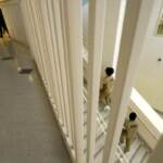 Ungheria, visite regolari da Ambasciata a italiana detenuta