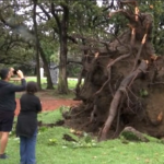 Buenos Aires, i danni della tempesta sulla capitale argentina