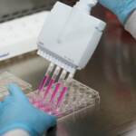 Università, dalla Fondazione Lilly 1,5 milioni per 30 dottorati di ricerca sanitari