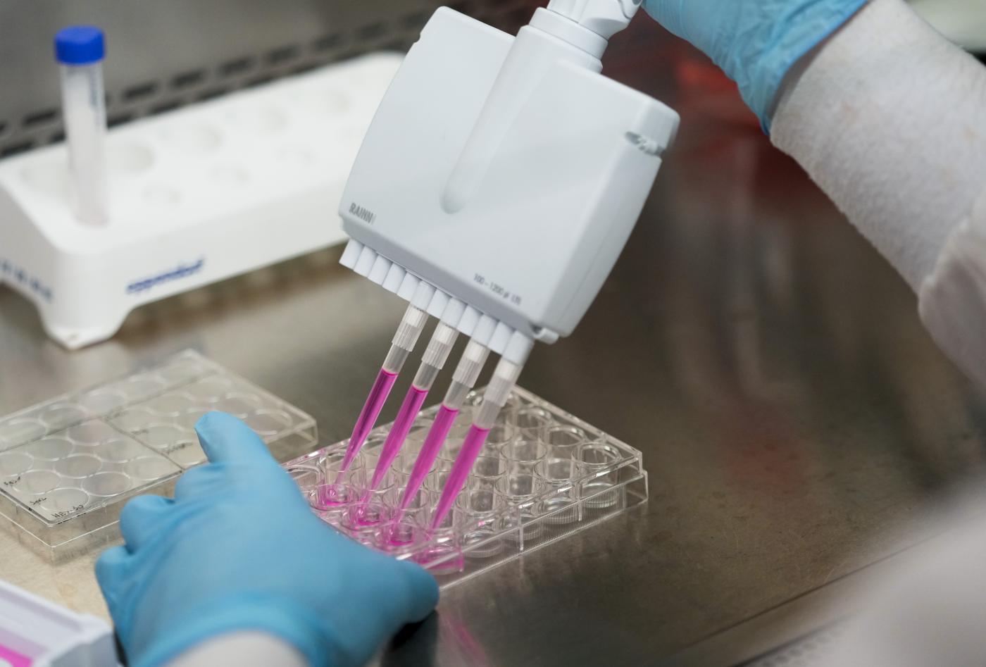 universit224 dalla fondazione lilly 15 milioni per 30 dottorati di ricerca sanitari