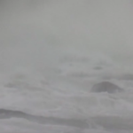 Usa, tempesta sulla costa est: voli cancellati e scuole chiuse