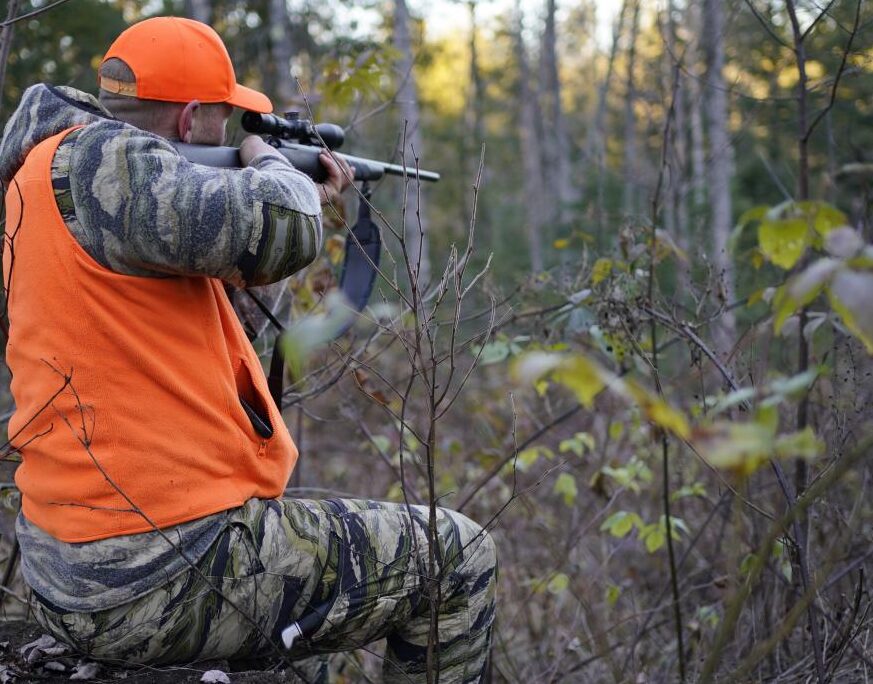 caccia associazioni ambientaliste contro il testo della riforma fermare disegno di legge da Lapresse.it caccia associazioni ambientaliste contro il testo della riforma fermare disegno di legge