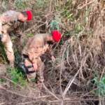 Reggio Calabria, controlli ambientali in piana Gioia Tauro: 11 denunciati
