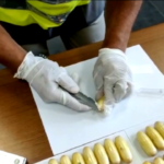 Bologna, ingerisce 1,3 kg di cocaina: arrestata