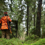 Caccia, fucile ai 16enni. Amidei (FdI): “Su richiesta Lollobrigida ritiro proposta”