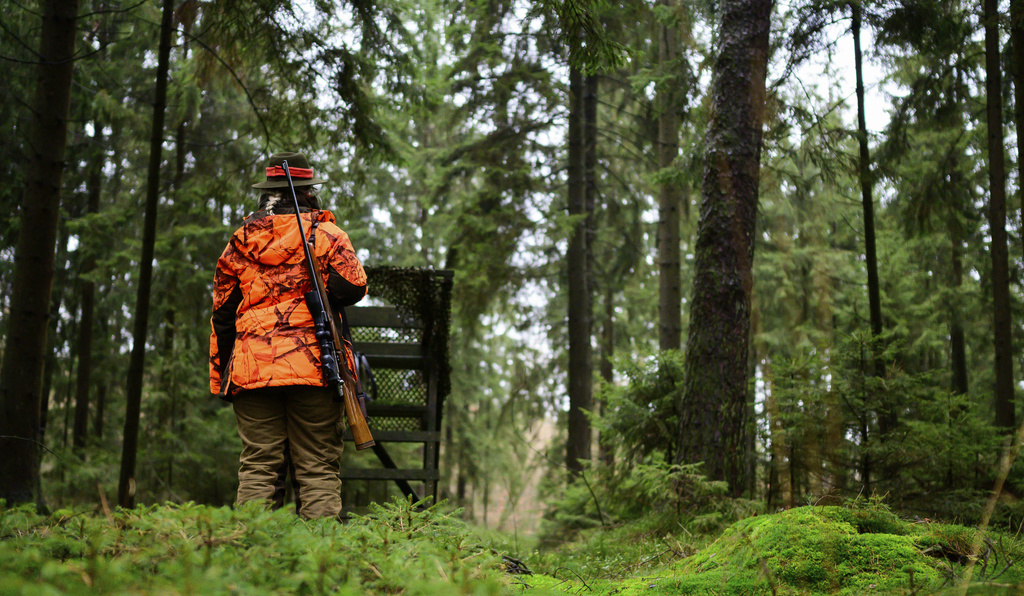 Caccia, fucile ai 16enni. Amidei (FdI): “Su richiesta Lollobrigida ritiro proposta” Caccia, fucile ai 16enni. Amidei (FdI): “Su richiesta Lollobrigida ritiro proposta”