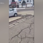 Terremoto in Giappone, tremano anche le auto per strada