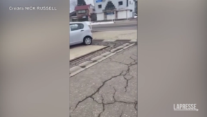Terremoto in Giappone, tremano anche le auto per strada