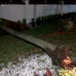 Usa, tornado nel Sud della Florida