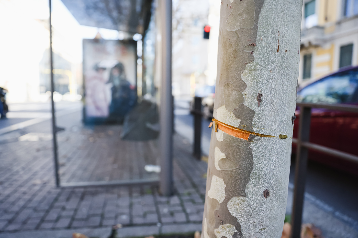 Cavo teso in strada a Milano, rintracciato il terzo complice minorenne