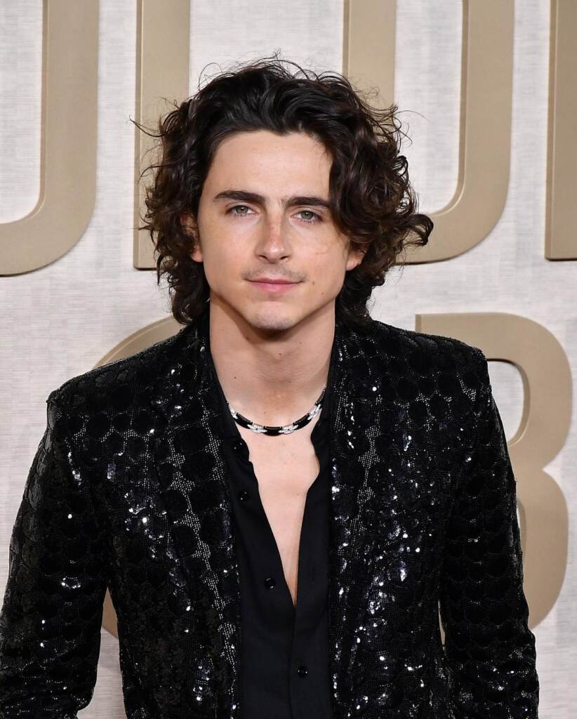 Galleria foto 'Golden Globe, Margot Robbie in rosa “Barbie”: tutti i look del red carpet' - foto 23