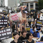 Sud Corea, Parlamento mette al bando produzione carne di cane