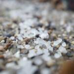 Spagna, milioni di palline di plastica invadono spiagge del nord