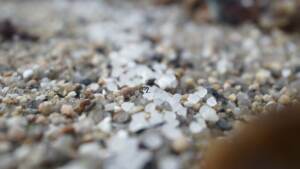 Spagna, milioni di palline di plastica invadono spiagge del nord