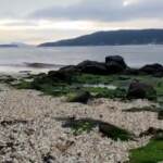 Spagna, milioni di pellet di plastica sulle coste della Galizia