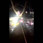 Usa, bloccato su albero per un torrente in piena: salvato