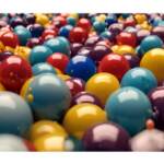 Tg Green 11 gennaio 2024