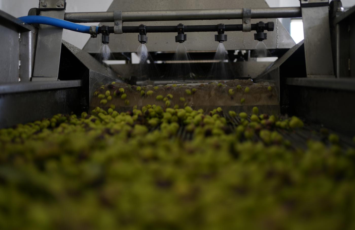 Cibo, controlli Nas su produzione olio: 26 denunce, 46.000 litri sequestrati