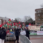 L’Aia, manifestazione pro palestinesi davanti a Corte internazionale di giustizia