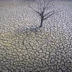 Clima, Omm: “2023 anno da caldo record ma 2024 forse peggio”