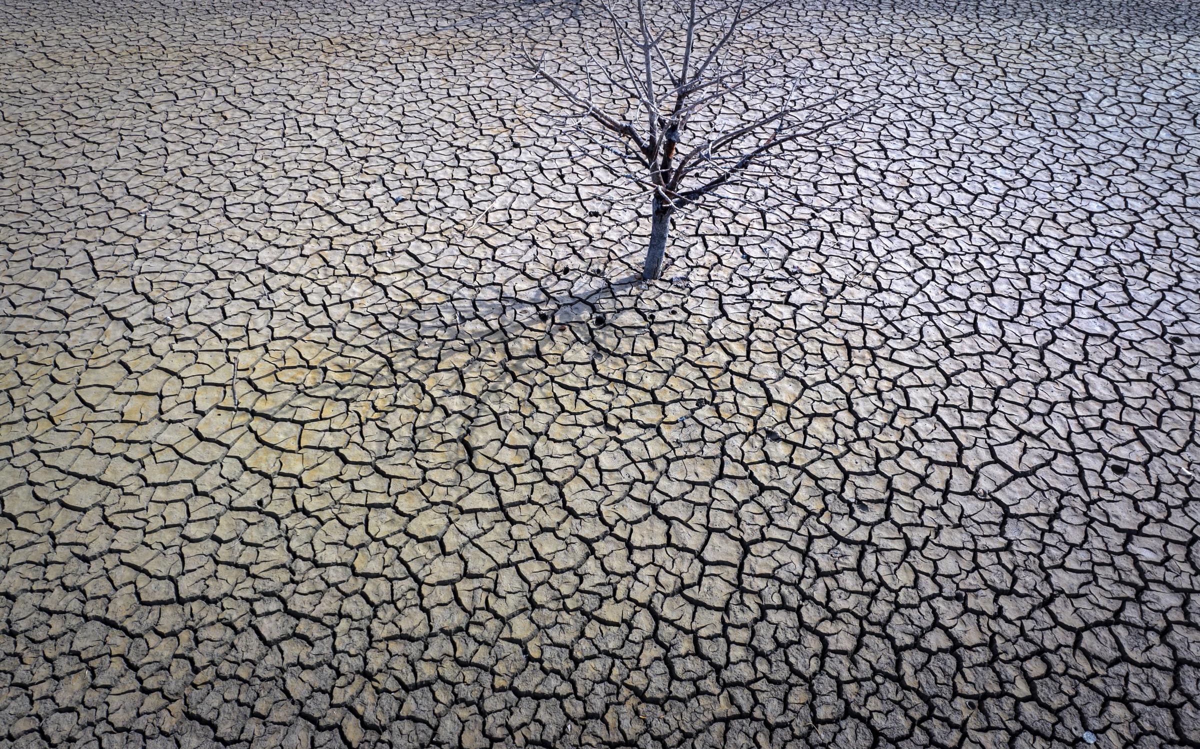Clima, Omm: “2023 anno da caldo record ma 2024 forse peggio”