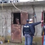 Caltanissetta, uomo denunciato dalla Polizia per maltrattamento di animali