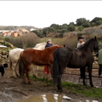 Spagna, a cavallo nel fuoco durante il festival di San Bartolome de Pinares