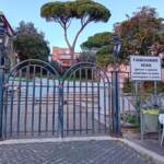 Roma, gatto ucciso da petardi a Morlupo: la denuncia dell’Enpa