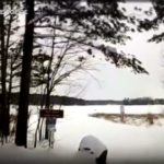 Michigan, uomo cade in un lago ghiacciato: salvato grazie al cane