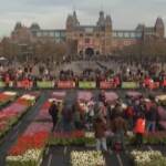 Olanda, 200mila tulipani esposti nella Museumplein di Amsterdam