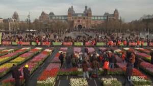 Olanda, 200mila tulipani esposti nella Museumplein di Amsterdam