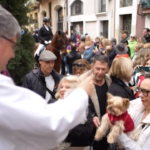 Barcellona, la benedizione degli animali per la festa di Sant’Antonio Abate
