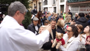 Barcellona, la benedizione degli animali per la festa di Sant’Antonio Abate