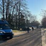 Milano, denunce e sequestri al mercato di piazzale Cuoco